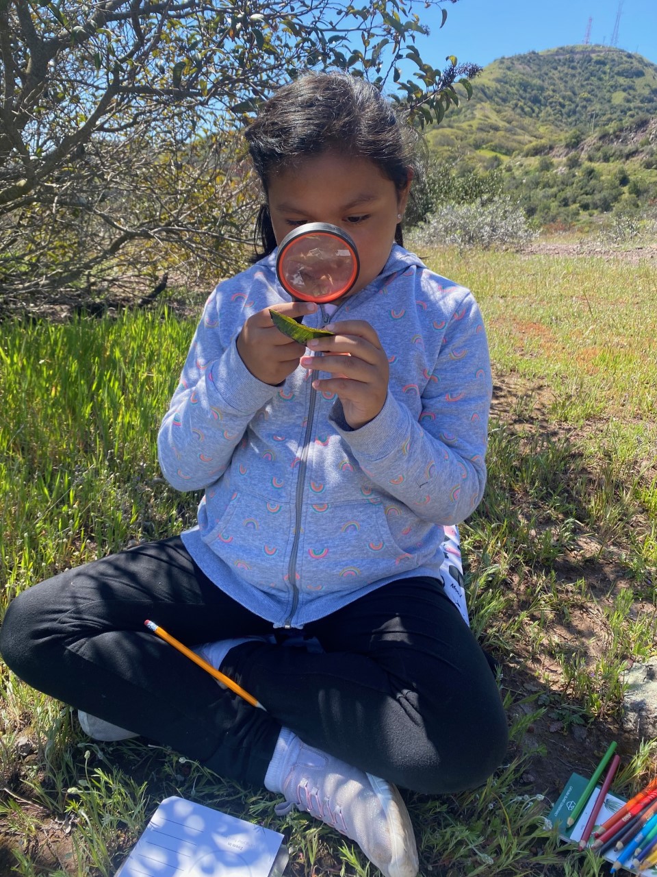 Catalina Island Conservancy